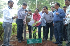 A-Sampling-planted-by-Shri.D.Ranga-Reddy-Chairman-TB-Board