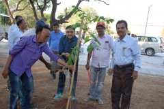 B-Sampling-planted-by-Shri.Rajeev-Singhal-Secretary-TB-Board