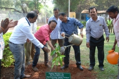 C-Sampling-planted-by-Shri.K.V.Ramana-SEIB-TB-Board