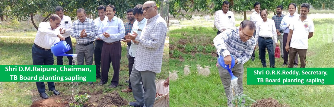 Shri D.M.Raipure, Chairman, Shri O.R.K.Reddy, Secretary, TB Board planting sapling