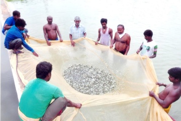 Fisheries Wing